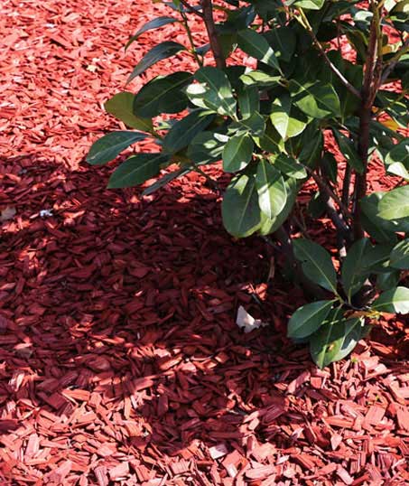 Copper Canyon Complete Care Corp. Mulching
